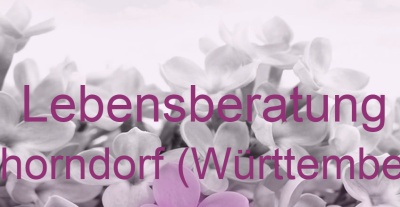 Lebensberatung Schorndorf (Württemberg) | Top-Experten für Kartenlegen, Wahrsagen, Hellsehen, Zukunftsdeutung.